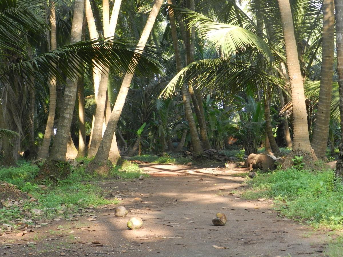 Bangli, The Finest Konkan Living Hotel Dapoli Exterior photo
