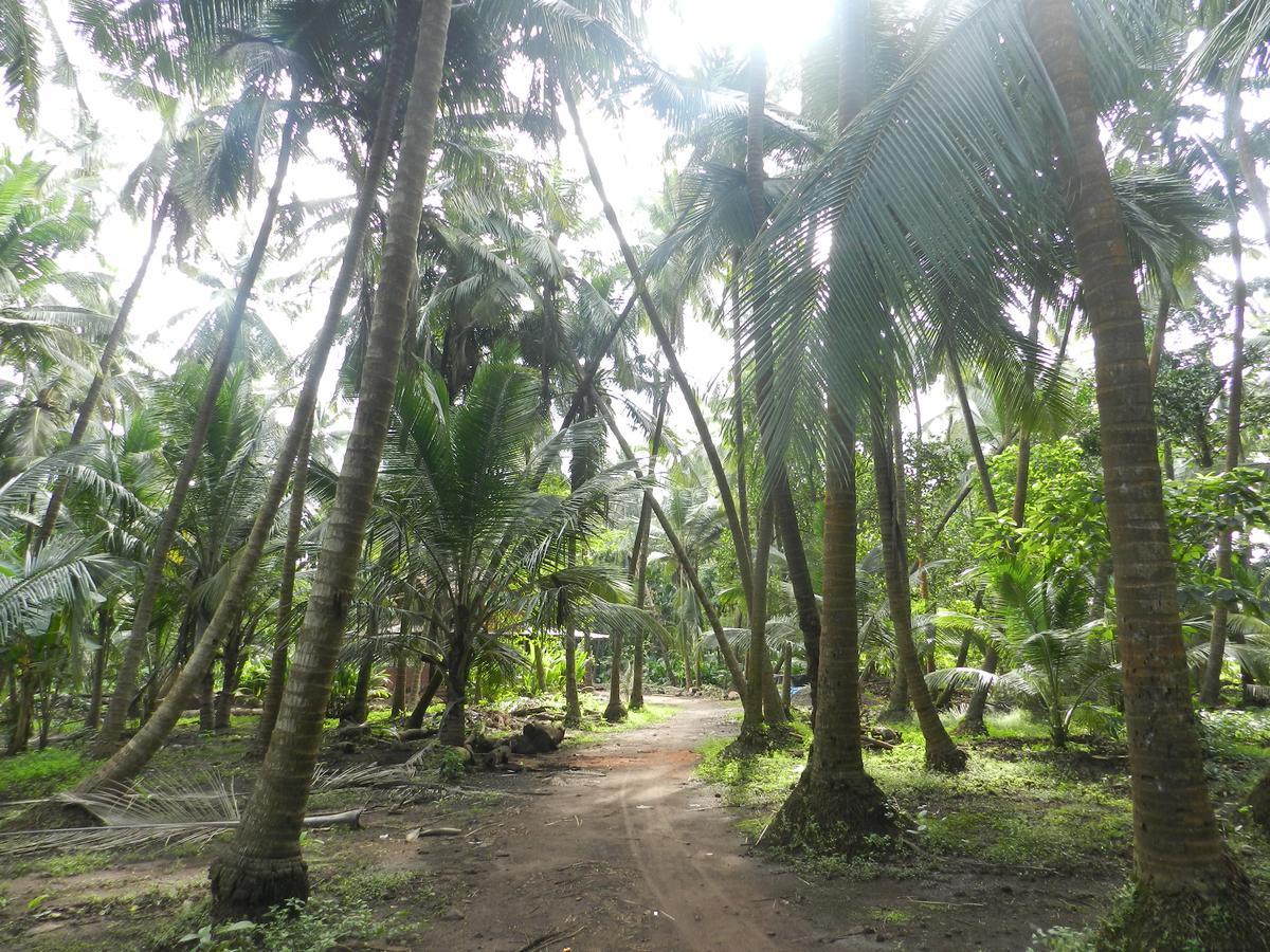 Bangli, The Finest Konkan Living Hotel Dapoli Exterior photo